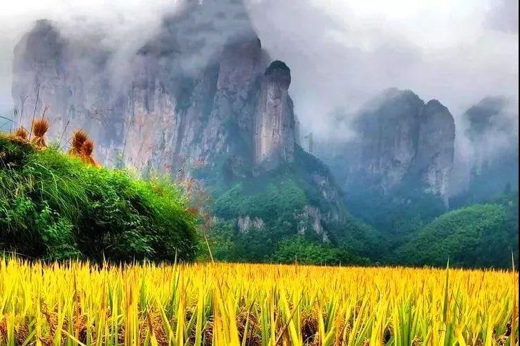 逃离陈旧房3